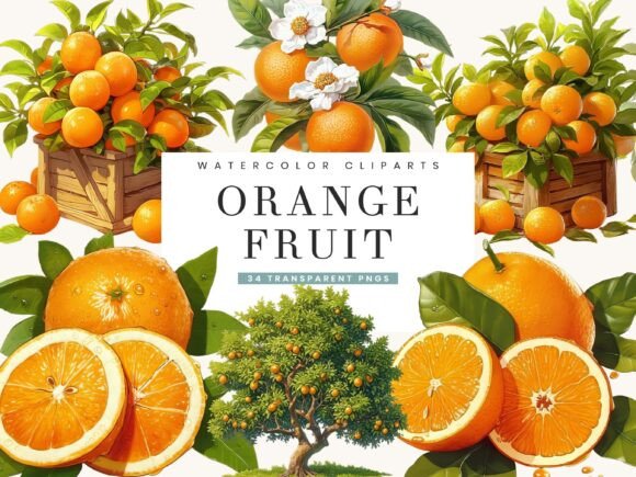 Download Watercolor Italy Orange Fruit Clipart - Fruit Collection